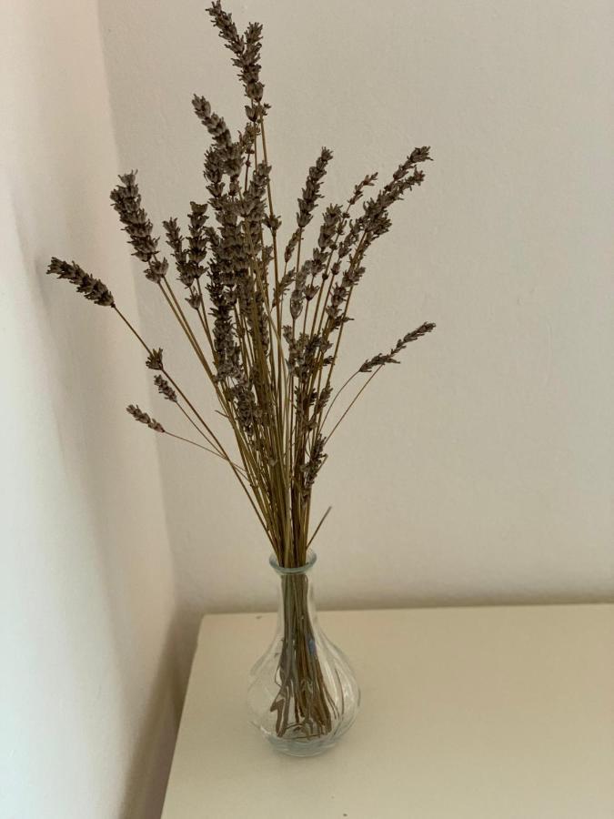 Danijela Apartment มาลีโลชินจ์ ภายนอก รูปภาพ